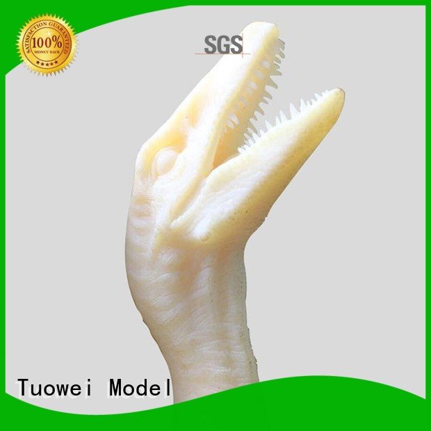 Tuowei face 3d printing prototypes near me supplier