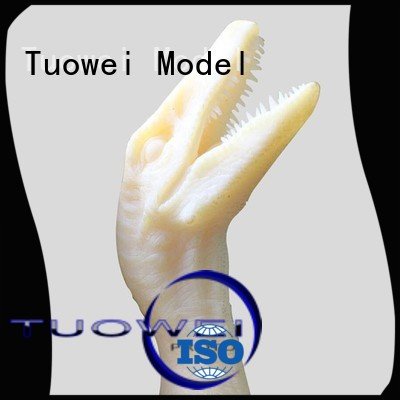 Tuowei motor manufacturer